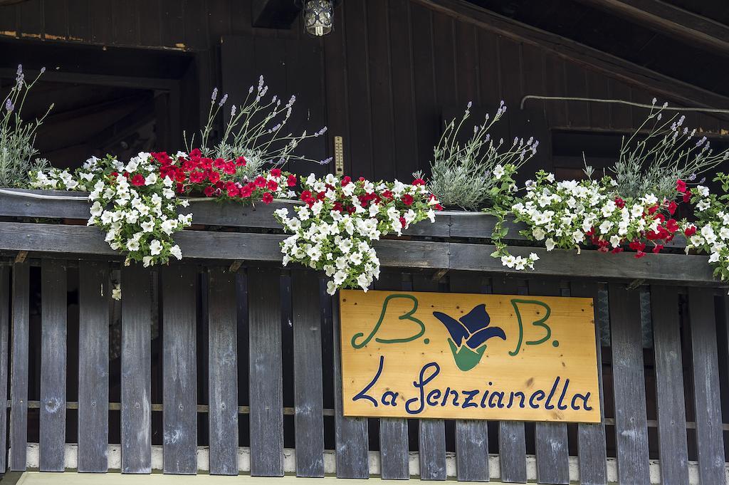 Perarolo di Cadore B&B La Genzianella מראה חיצוני תמונה