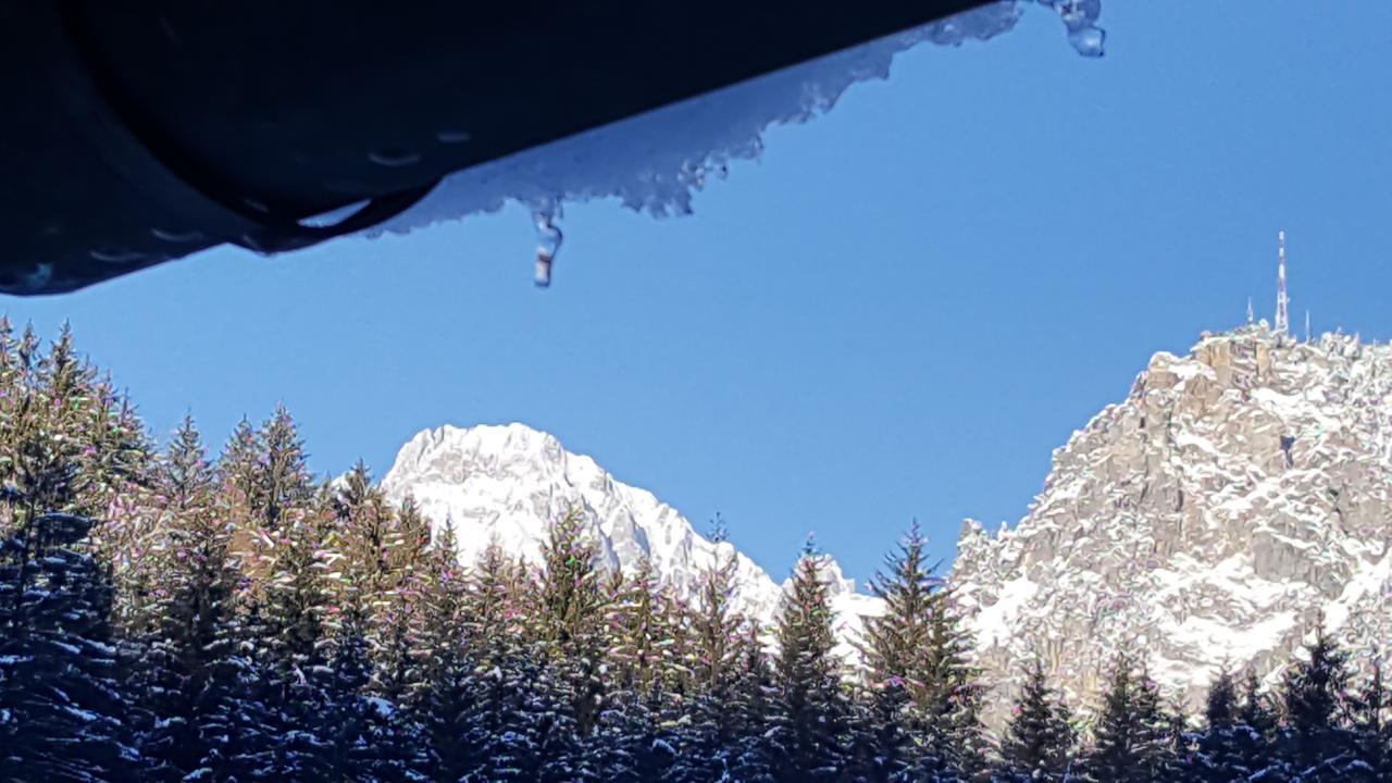 Perarolo di Cadore B&B La Genzianella מראה חיצוני תמונה