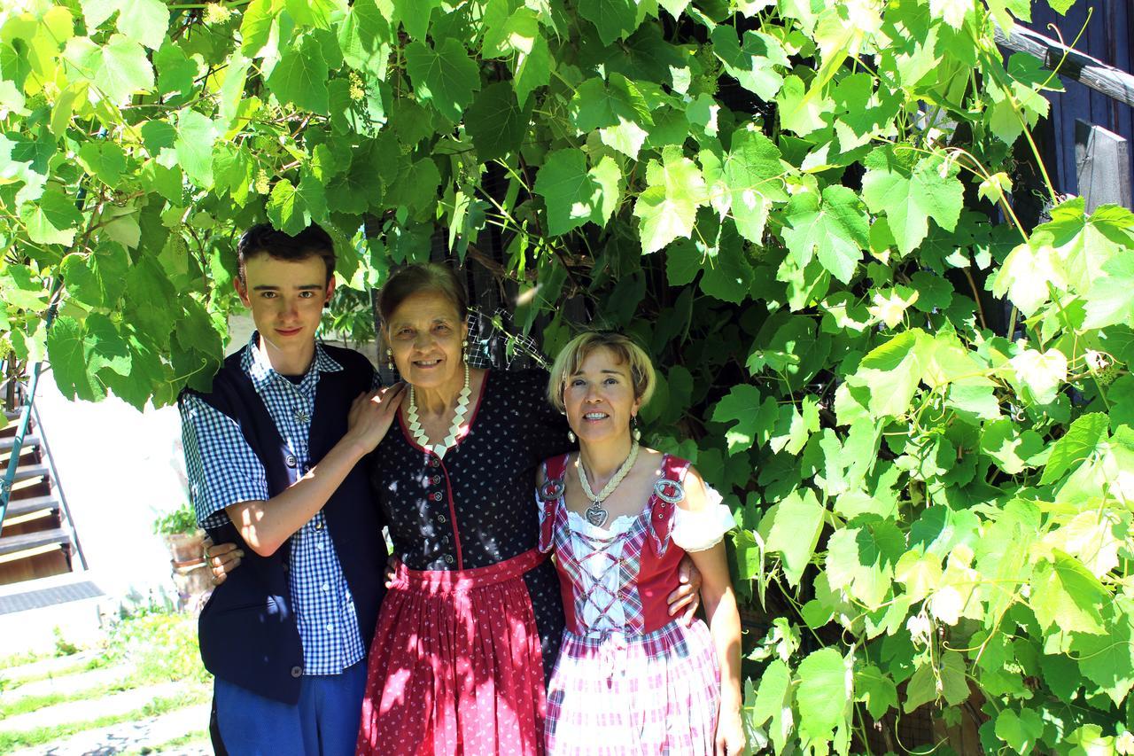 Perarolo di Cadore B&B La Genzianella מראה חיצוני תמונה